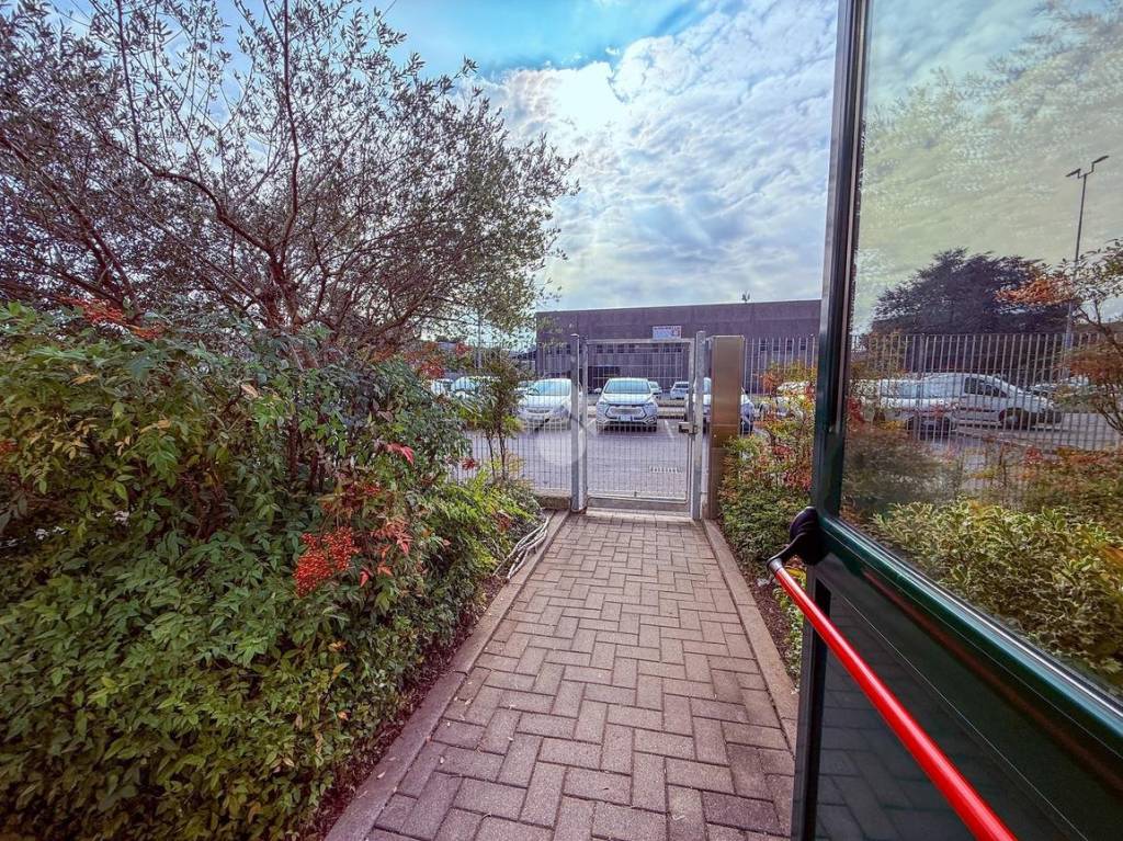 immagine annuncio 2 di 15