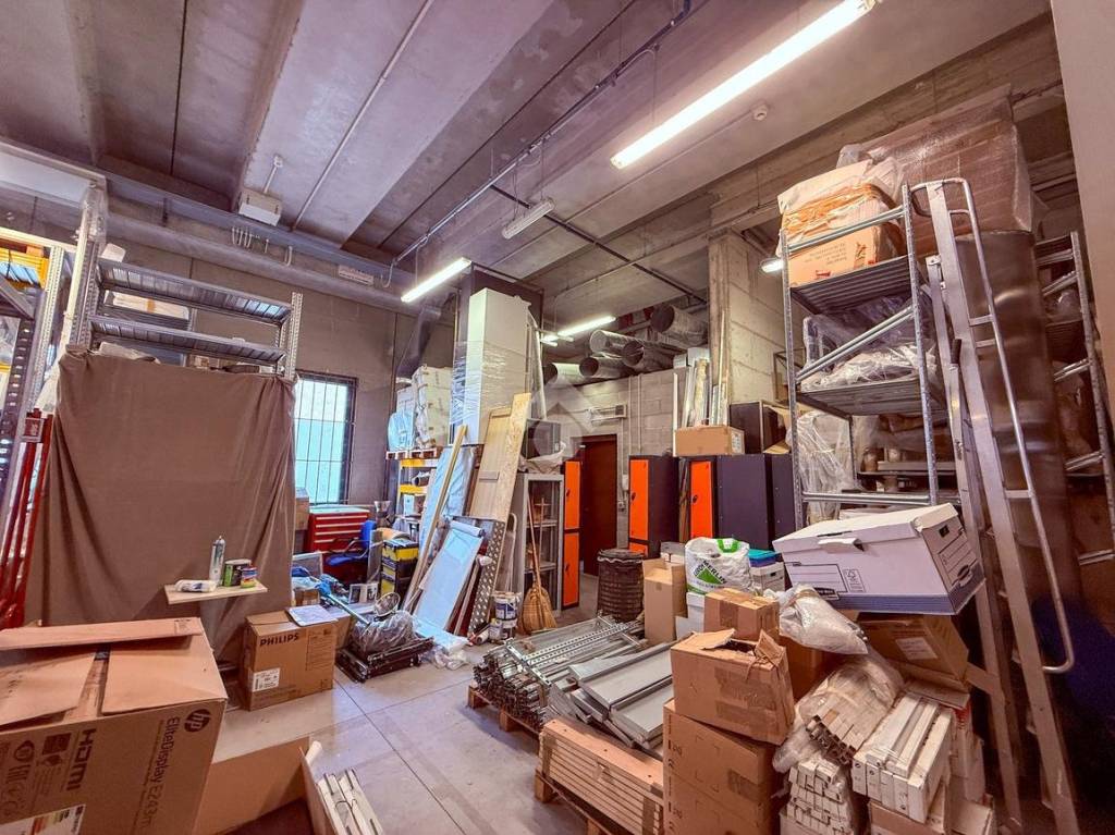 immagine annuncio 12 di 15