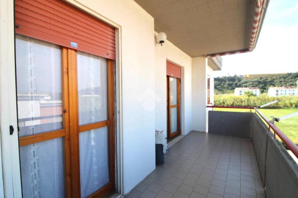 immagine annuncio 5 di 14