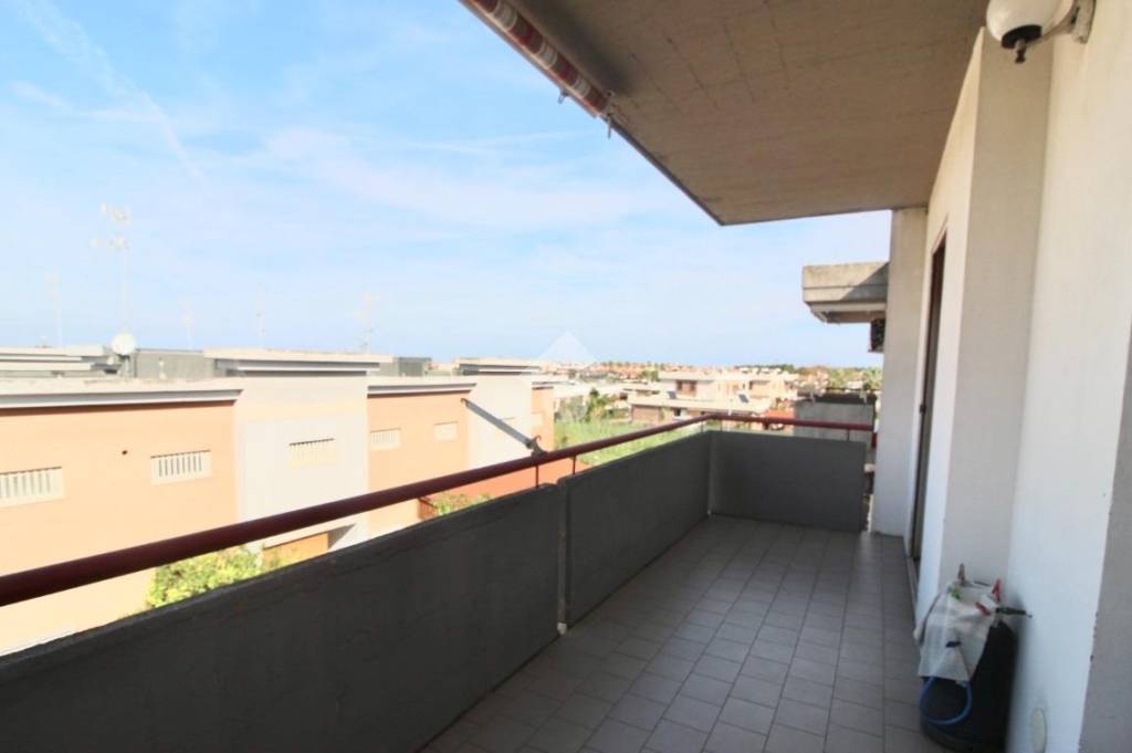 immagine annuncio 6 di 14