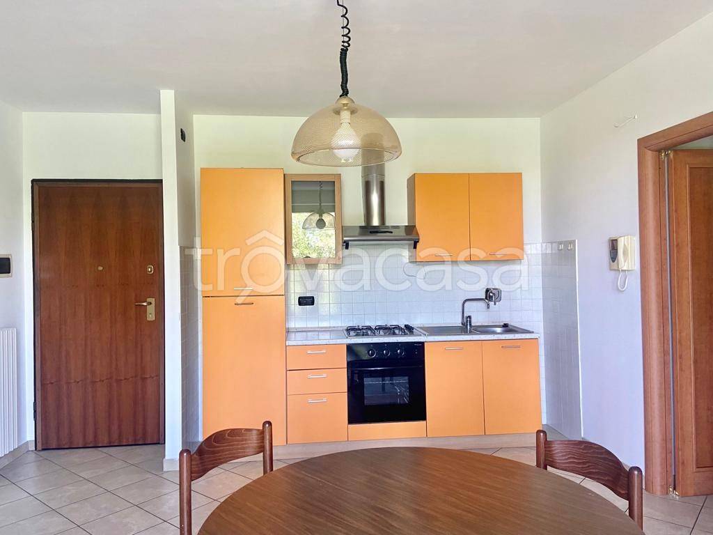 immagine annuncio 2 di 7