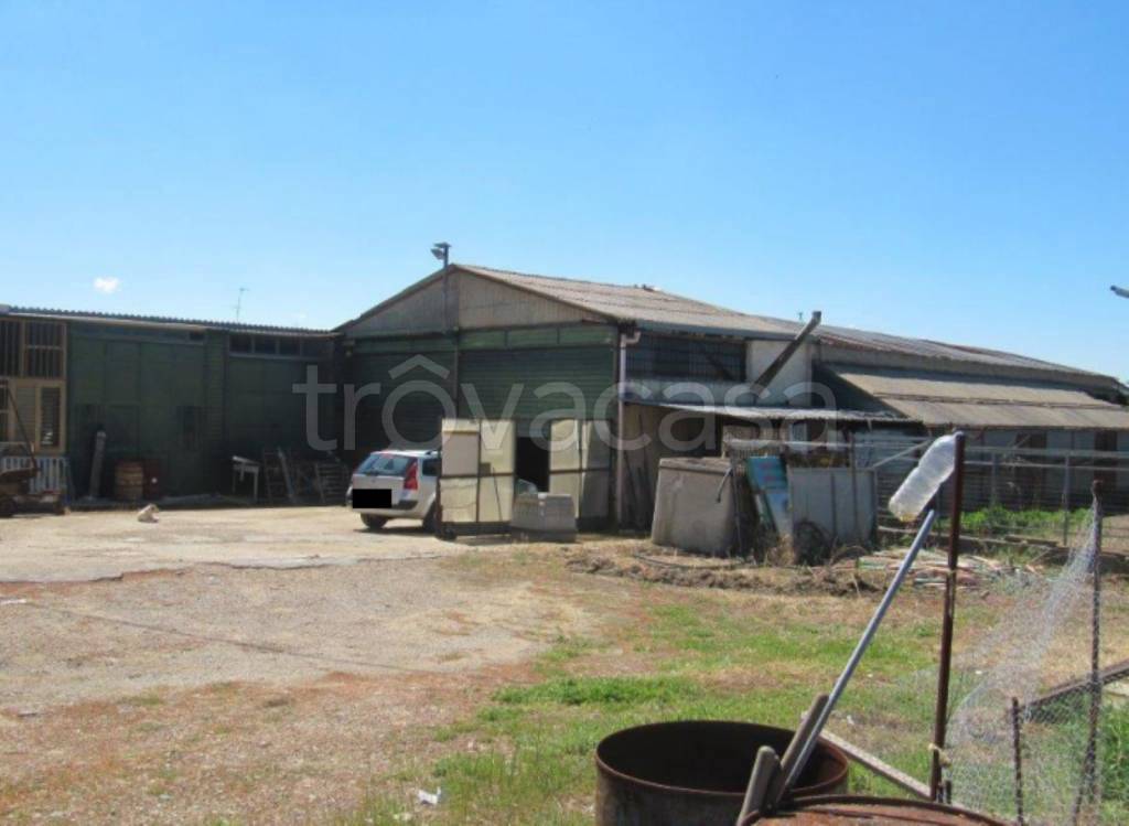 immagine annuncio 7 di 13