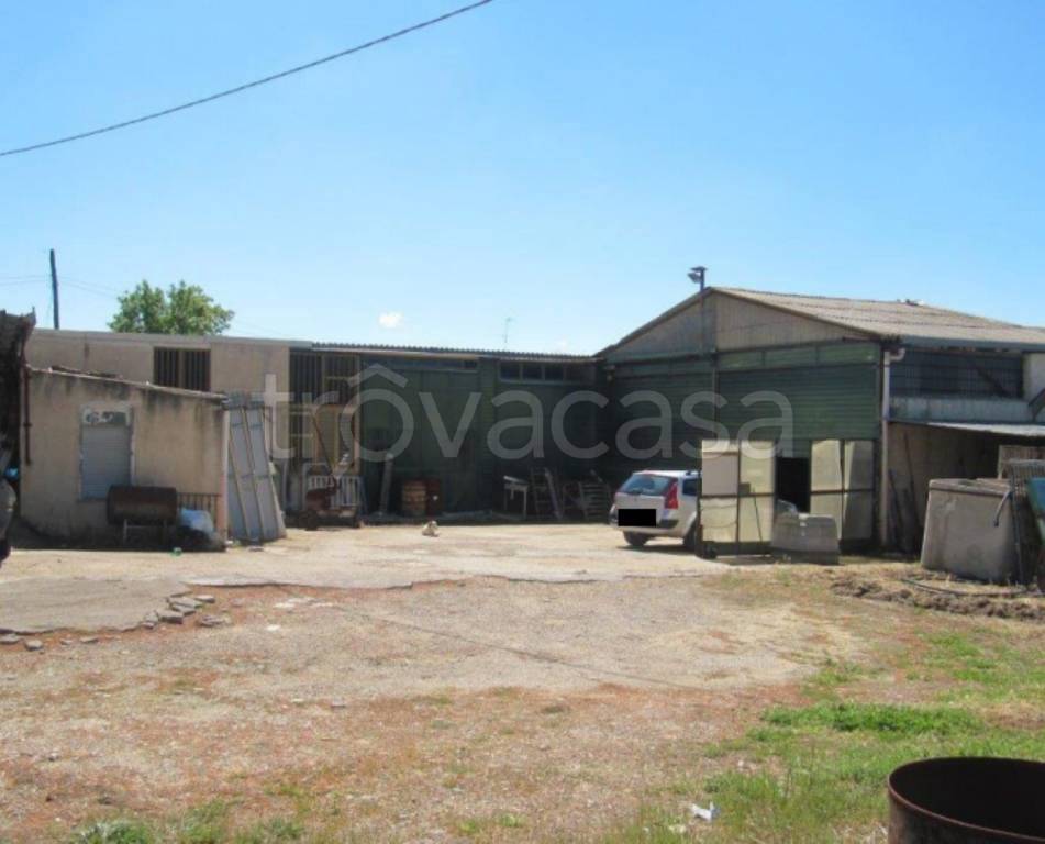 immagine annuncio 8 di 13