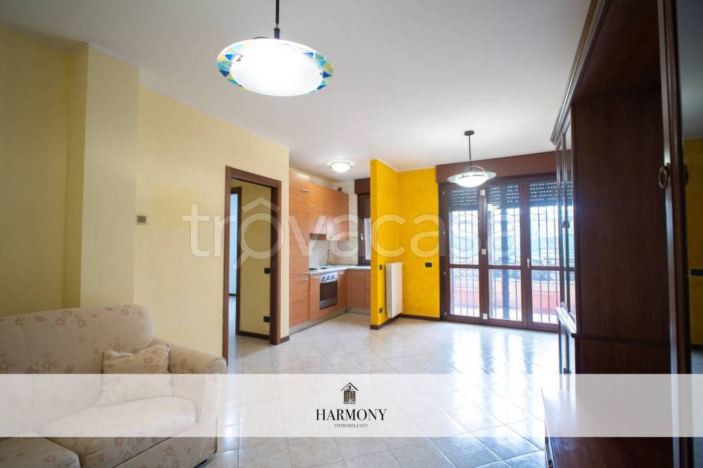 immagine annuncio 1 di 15