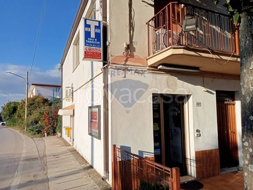 immagine annuncio 4 di 6