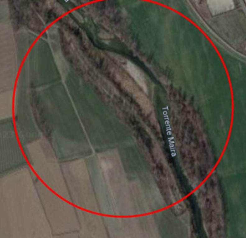 immagine annuncio 10 di 12