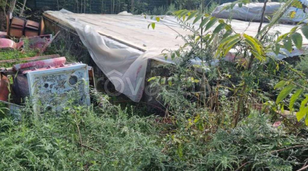 immagine annuncio 10 di 12