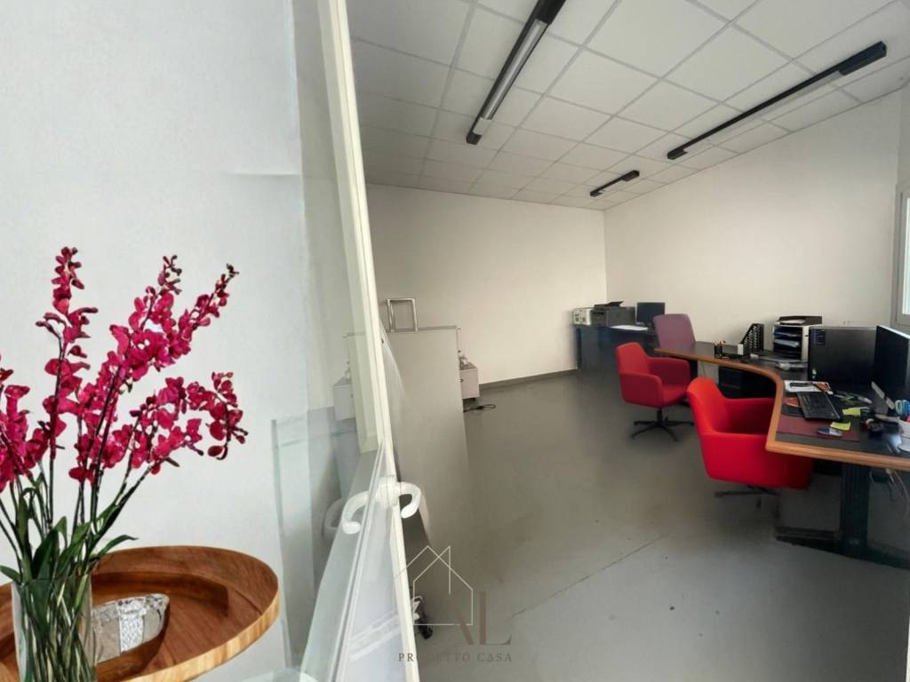 immagine annuncio 5 di 8