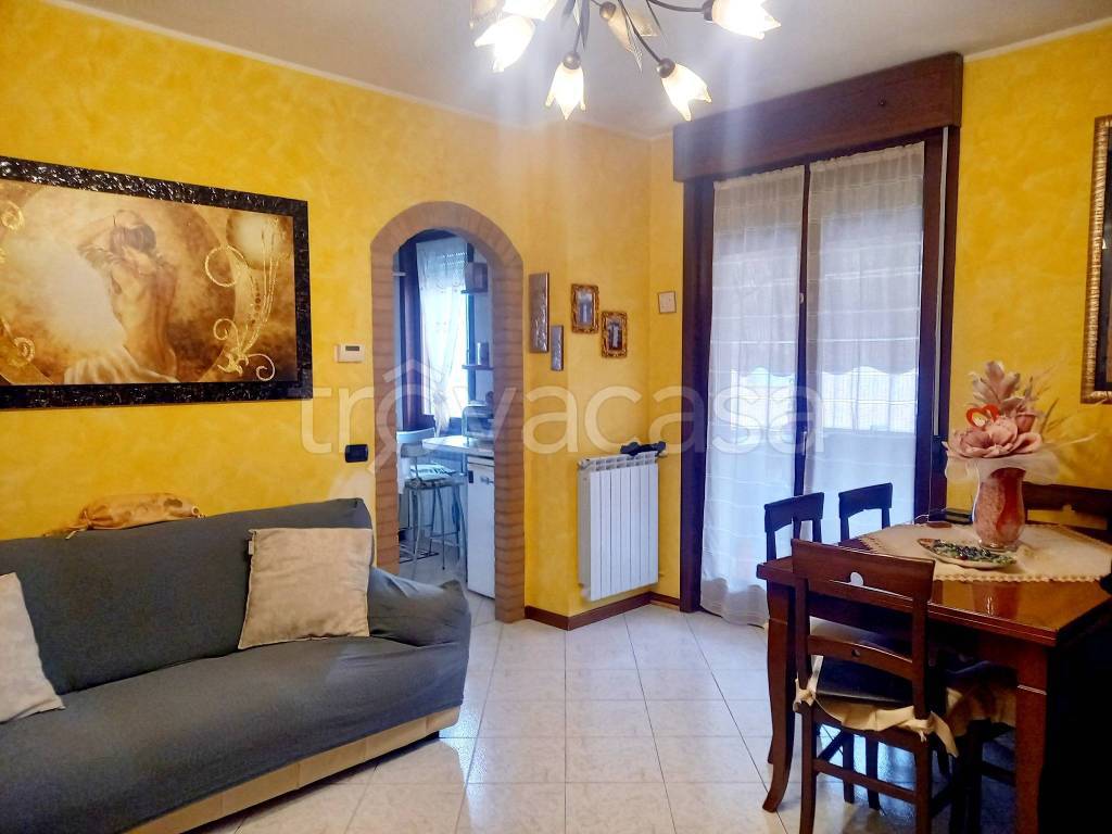 immagine annuncio 8 di 15