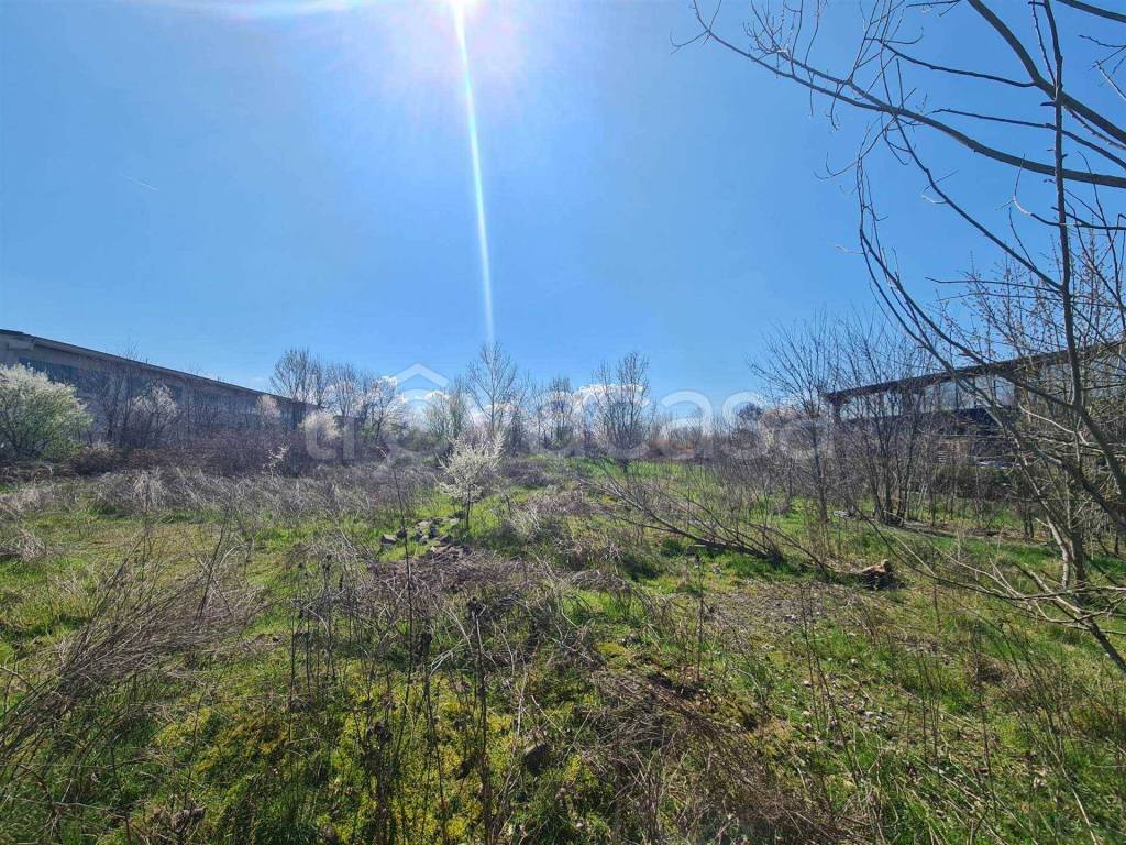 immagine annuncio 1 di 4