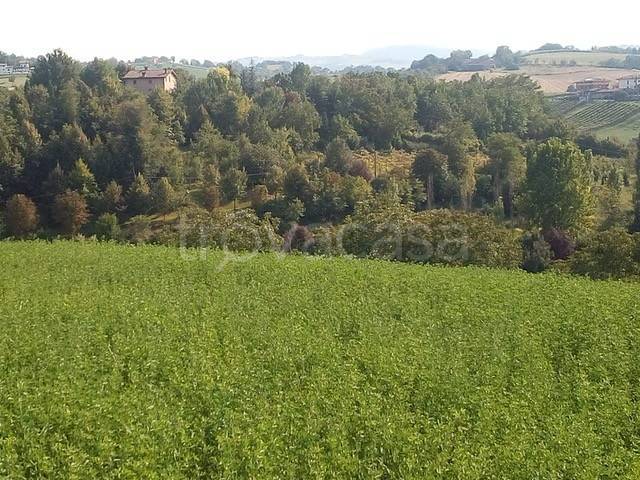 immagine annuncio 5 di 7