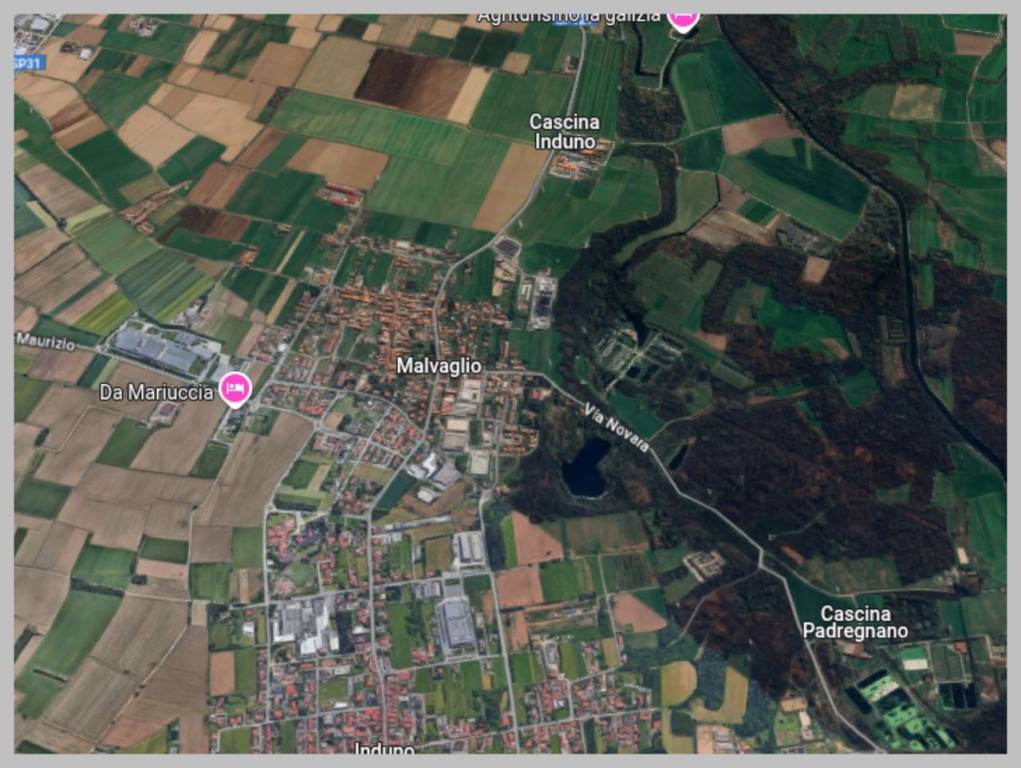 immagine annuncio 12 di 15