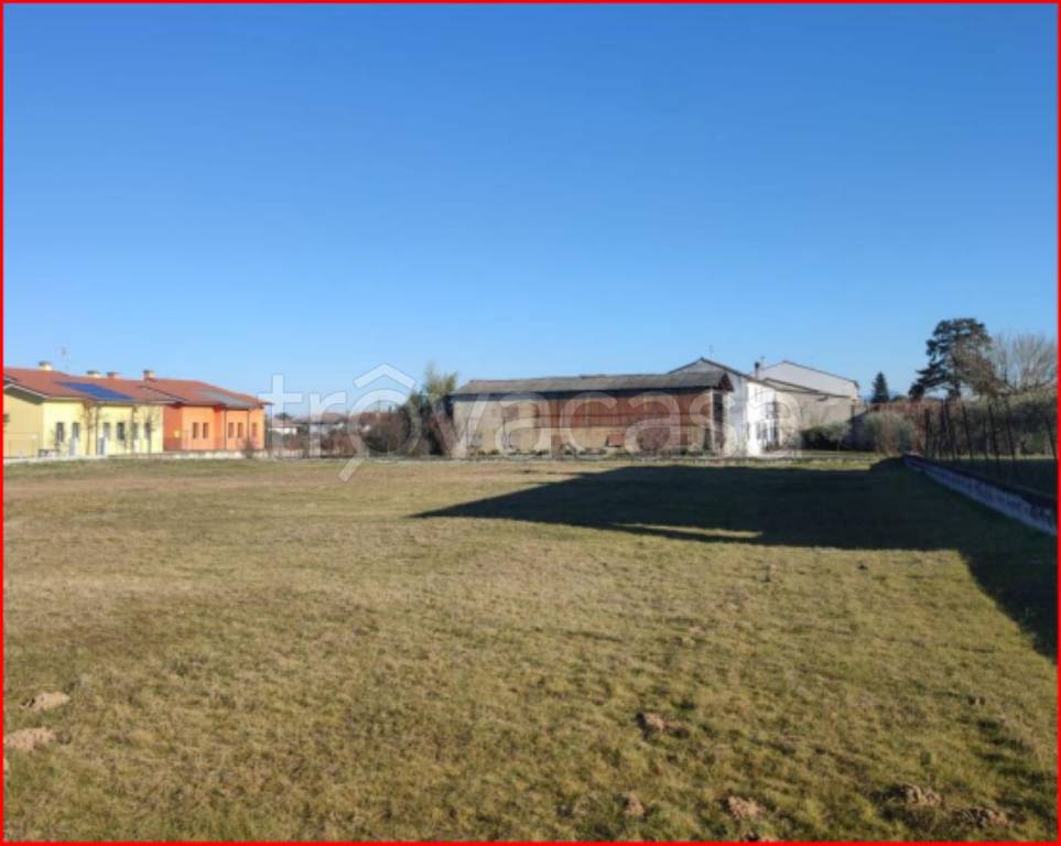 immagine annuncio 2 di 12