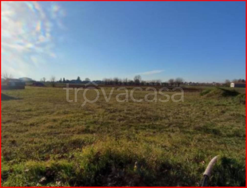 immagine annuncio 4 di 12