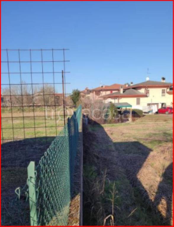 immagine annuncio 1 di 12