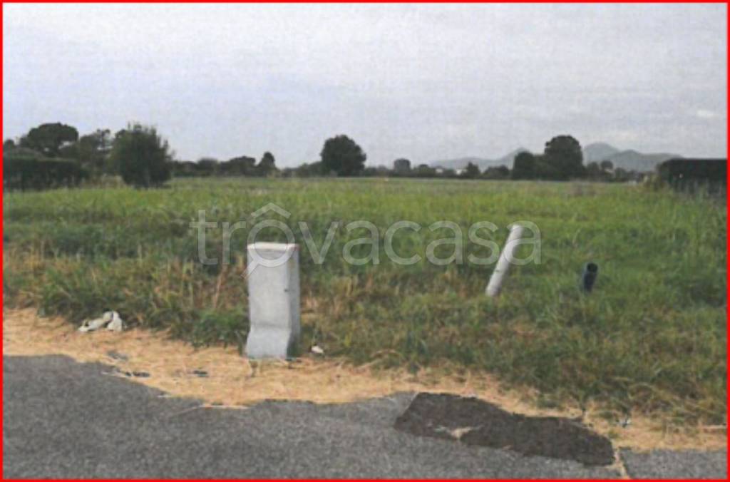 immagine annuncio 6 di 11