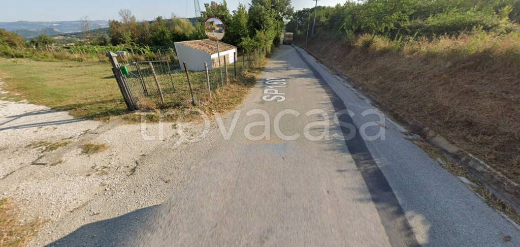 immagine annuncio 4 di 12