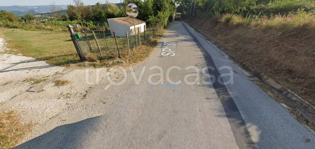 immagine annuncio 5 di 12