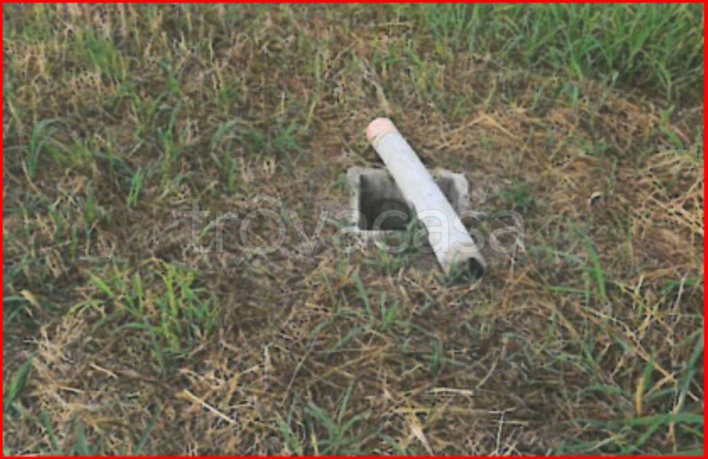 immagine annuncio 7 di 11