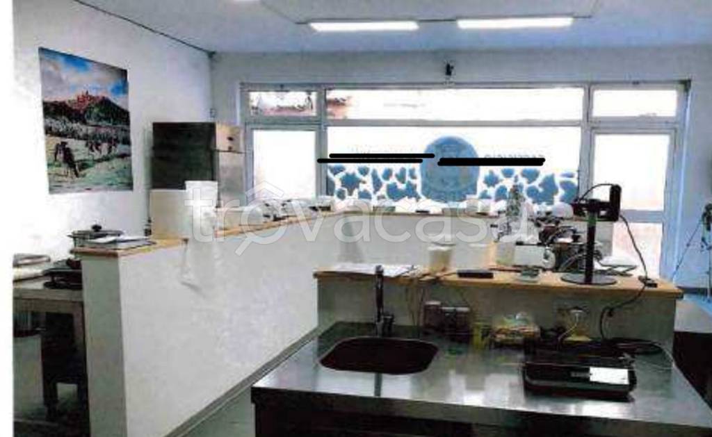 immagine annuncio 5 di 14