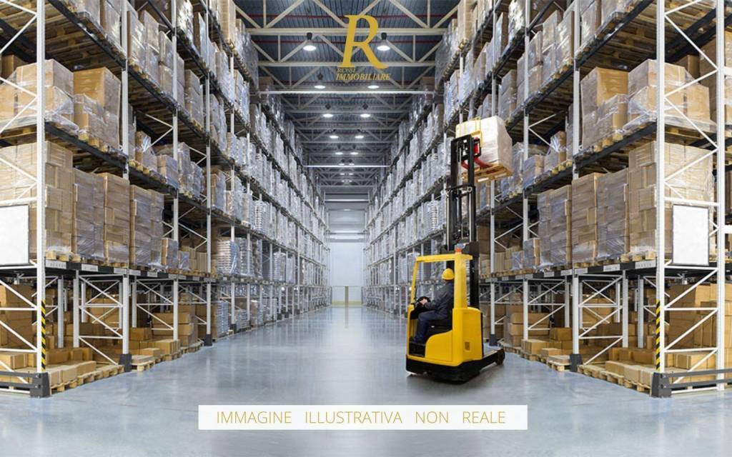 immagine annuncio 7 di 11