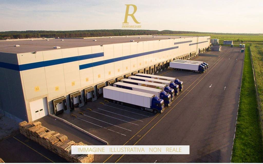 immagine annuncio 2 di 11