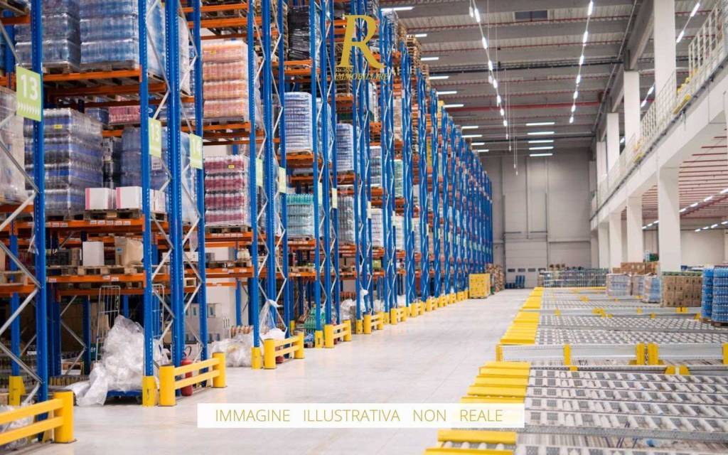 immagine annuncio 5 di 11