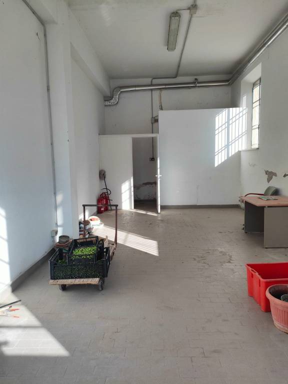 immagine annuncio 4 di 9