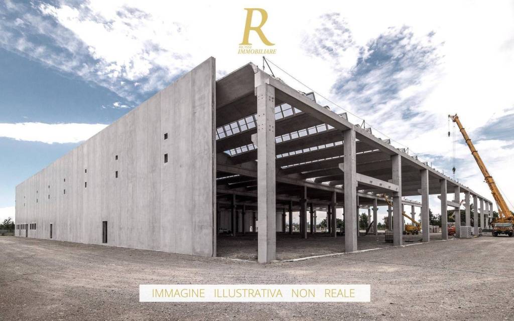 immagine annuncio 1 di 11