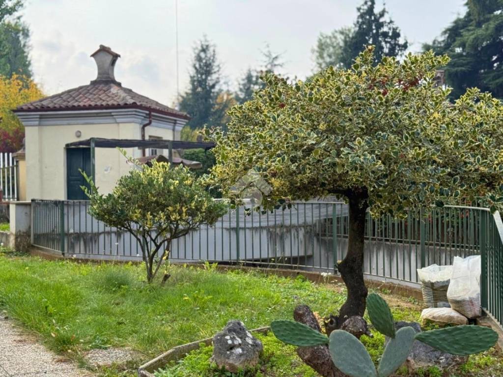 immagine annuncio 3 di 15