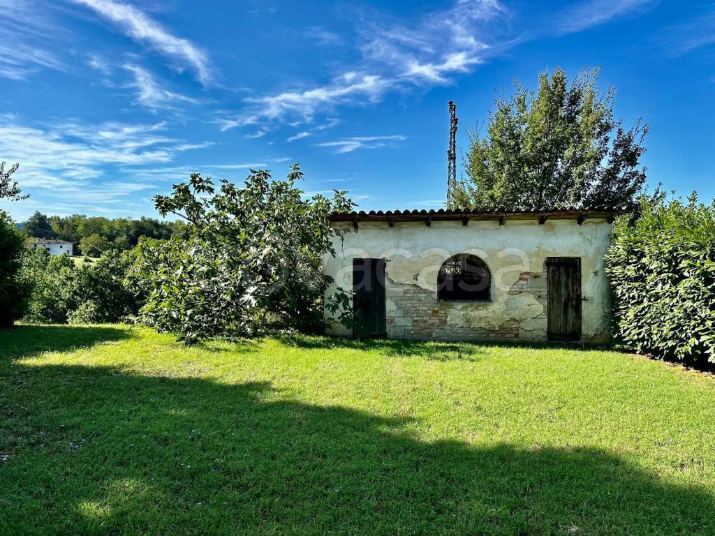 immagine annuncio 12 di 15