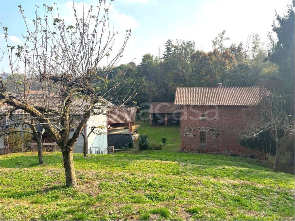 immagine annuncio 13 di 15