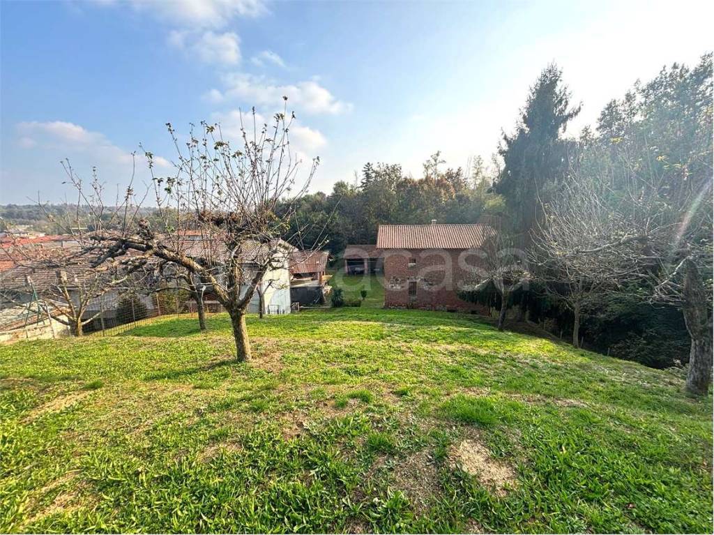 immagine annuncio 14 di 15