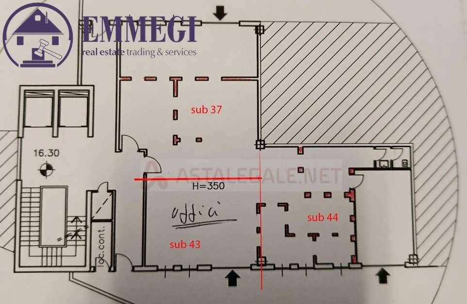 immagine annuncio 7 di 11