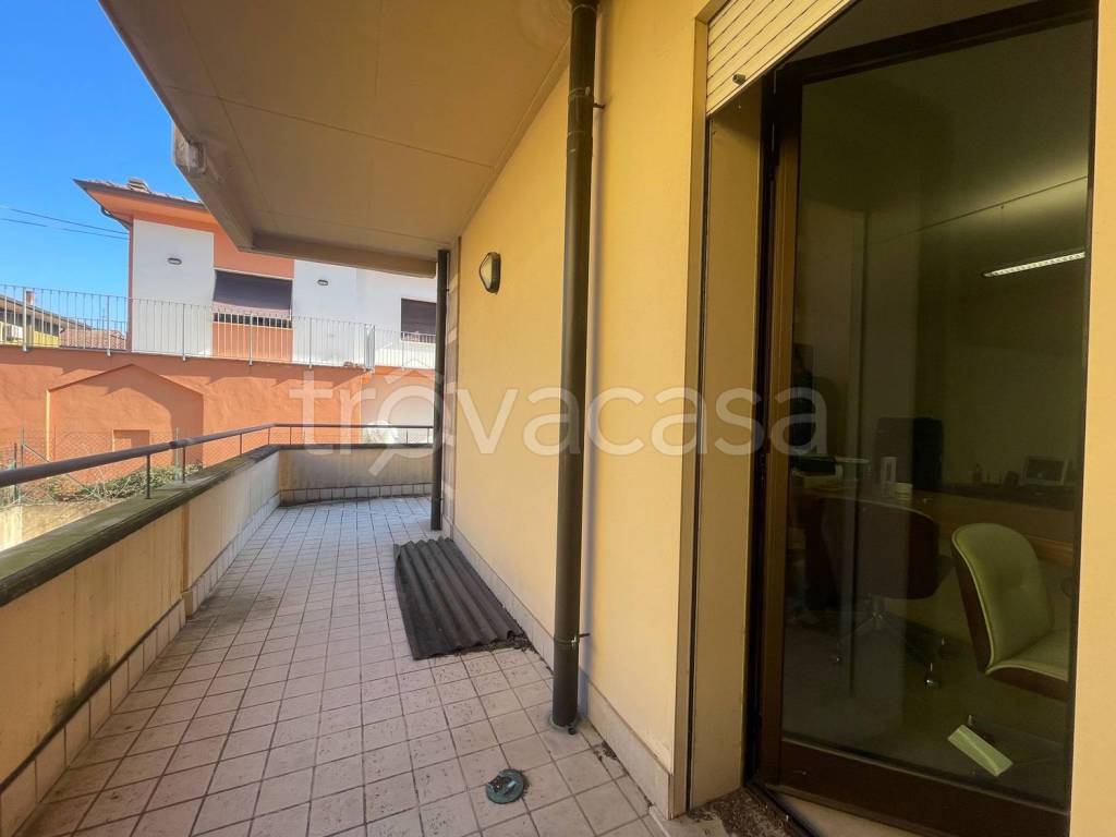 immagine annuncio 6 di 8