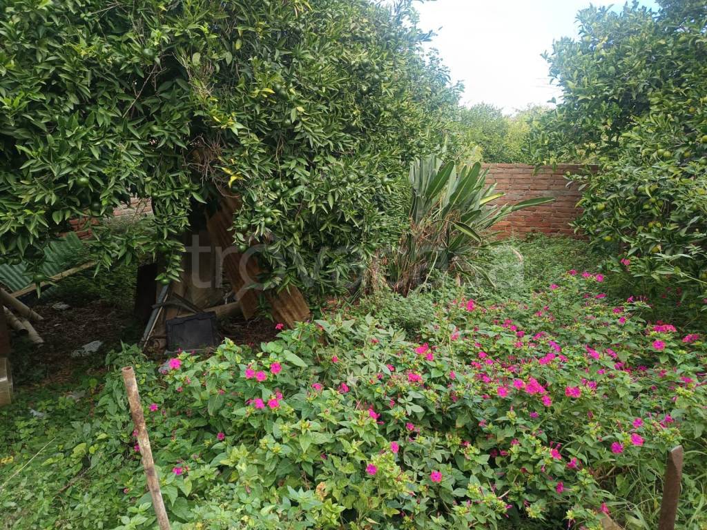 immagine annuncio 7 di 8