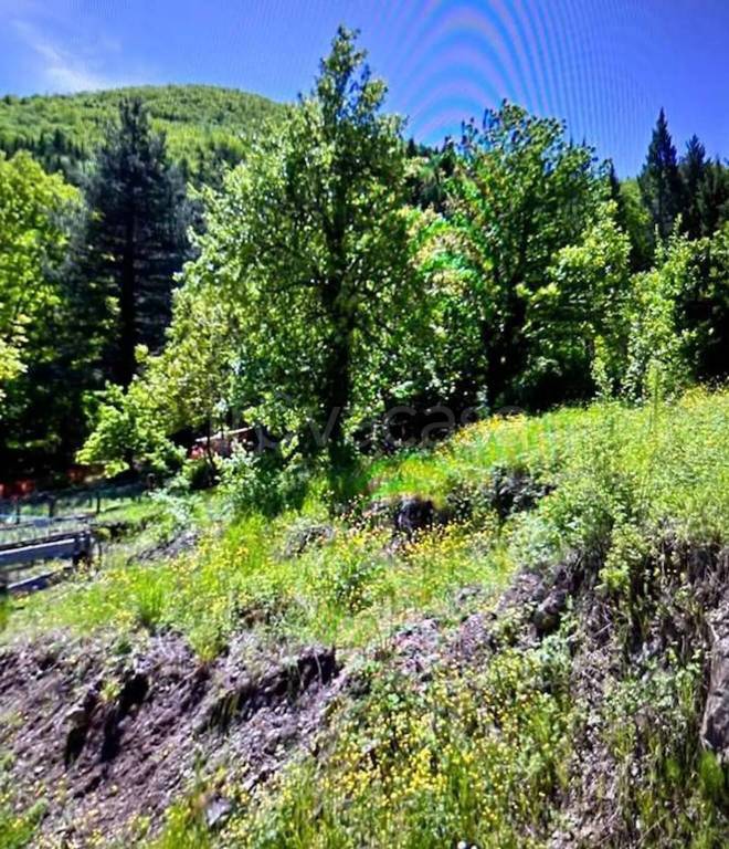 immagine annuncio 2 di 6