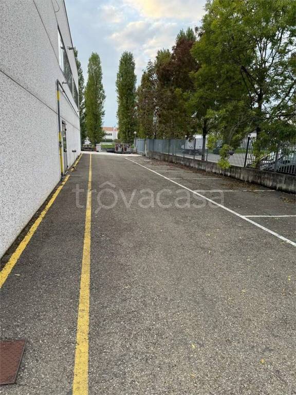 immagine annuncio 2 di 13