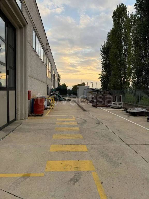 immagine annuncio 3 di 13