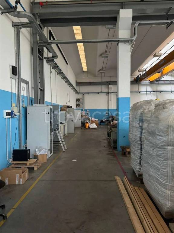 immagine annuncio 6 di 13