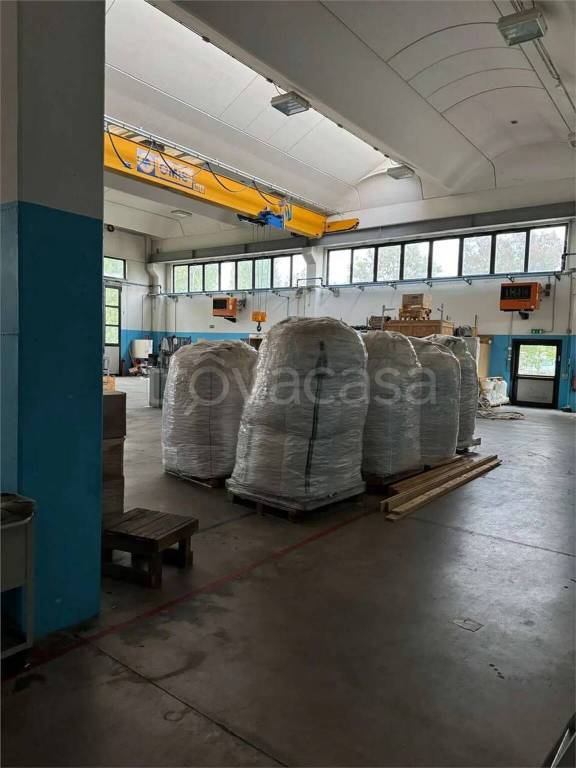 immagine annuncio 9 di 13