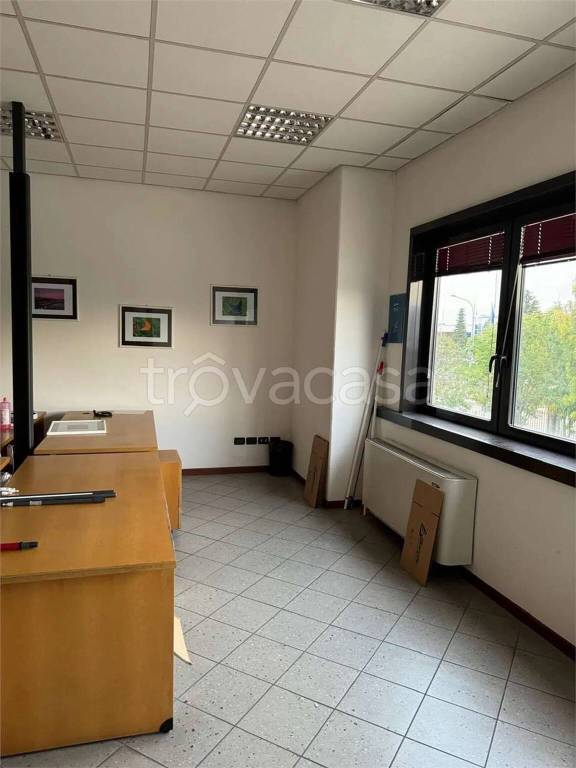 immagine annuncio 11 di 13