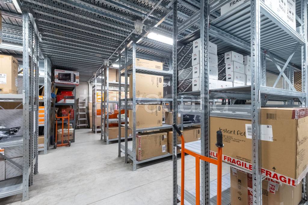 immagine annuncio 12 di 15