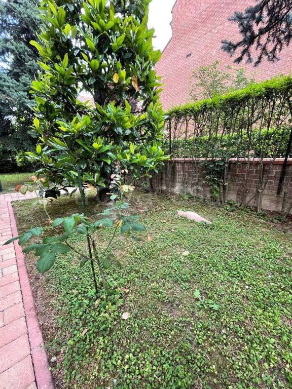 immagine annuncio 6 di 15