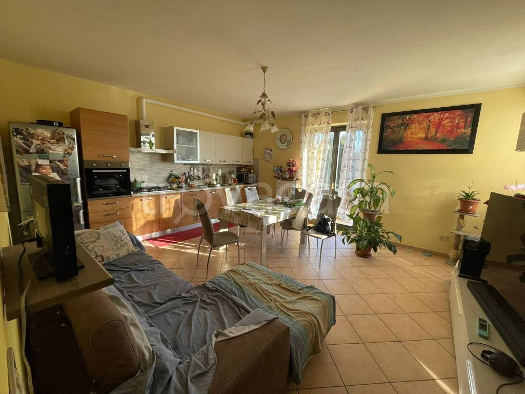 immagine annuncio 13 di 15