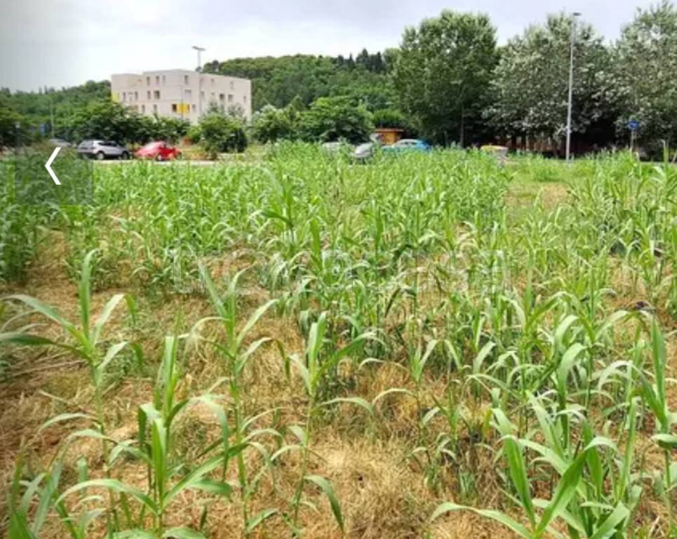 immagine annuncio 6 di 12