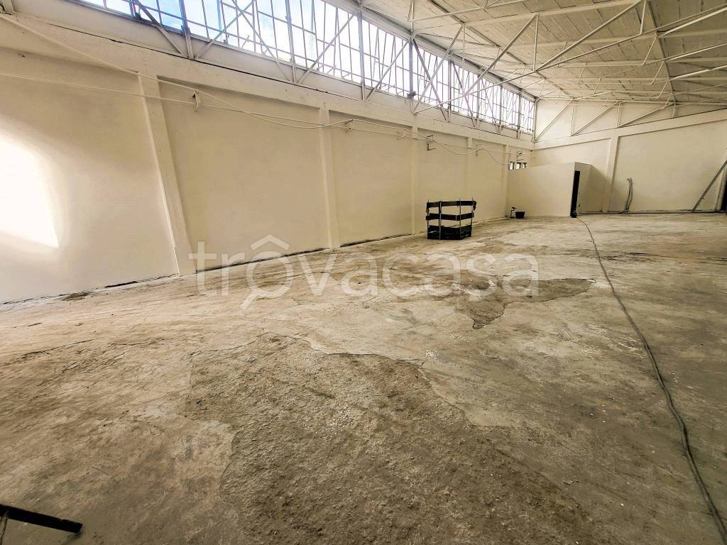 immagine annuncio 3 di 7