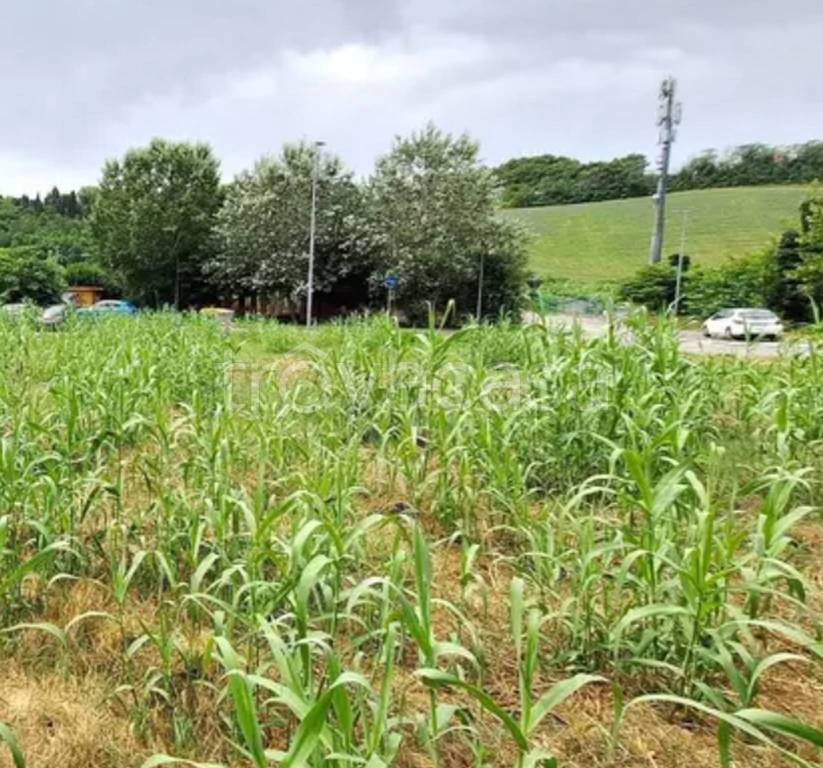 immagine annuncio 11 di 12