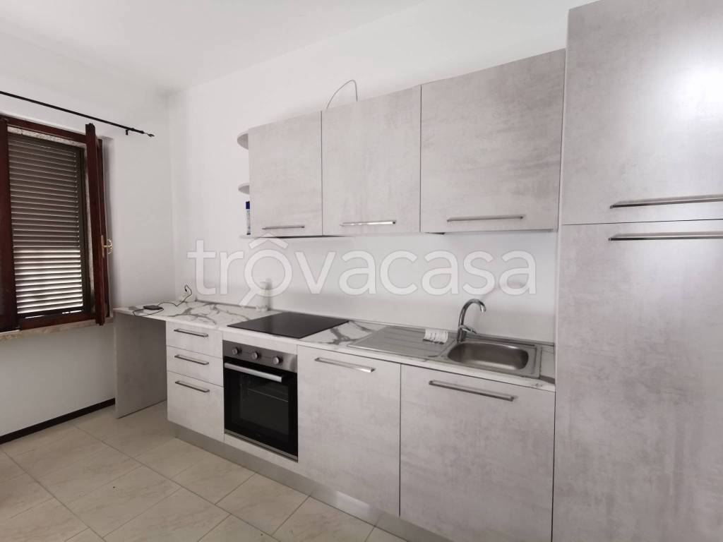 immagine annuncio 2 di 12