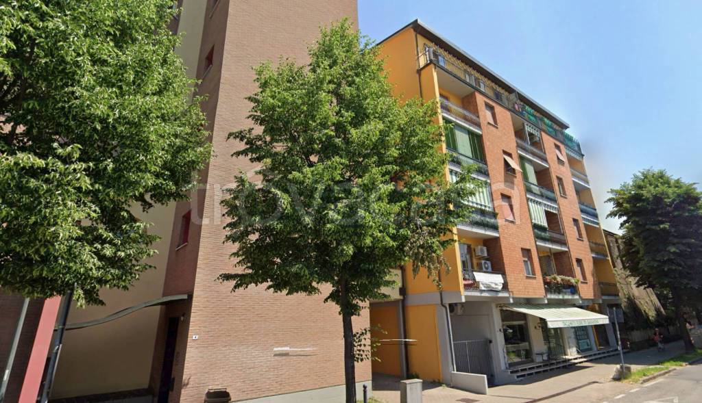 immagine annuncio 1 di 14